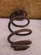 Feder links hinten <br>OPEL ASTRA G CABRIOLET 2.2 16V