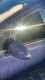 Au�enspiegel elektrisch lackiert links 4DU (20Z)<br>OPEL CORSA D 1.0