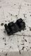 Schalter Fensterheber <br>AUDI A4 (8D2, B5) 1.6