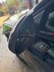 Au�enspiegel links elektr. verstell-und beheizbar<br>OPEL INSIGNIA 2.0 CDTI