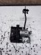 Bremssattel links hinten LUCAS<br>OPEL ASTRA H CARAVAN (L35) 1.9 CDTI