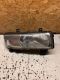 Frontscheinwerfer rechts 7701044520<br>OPEL MOVANO KASTEN (F9) 2.2 DTI