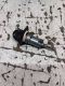 Z�ndschloss <br>OPEL CORSA B (73_, 78_, 79_) 1.0I 12V