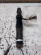 Sto�d�mpfer links hinten 1243201013<br>MERCEDES-BENZ STUFENHECK (W124) 250 D