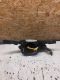Cim - Modul 13162134 DL<br>OPEL VECTRA C 2.2 16V