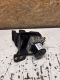 ABS-Regler ABS-Block 13412552 AJB<br>OPEL ZAFIRA C (P12) 2.0 CDTI
