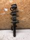 Federbein links vorn <br>FORD TRANSIT CONNECT (P65_, P70_, P80_) 1.8 T