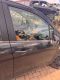 T�r rechts vorn <br>OPEL AGILA (B H08) 1.2