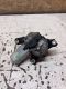 Wischermotor hinten <br>OPEL MERIVA 1.4 16V TWINPORT