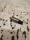 Kraftstoffdruckregelung Druckregler- Drucksensor<br>OPEL VECTRA C CARAVAN 2.2 DIRECT