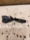 Lenkstockschalter Wischerhebel 09185413<br>OPEL CORSA C (F08, F68) 1.2