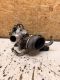 Turbolader Turbo 55565353<br>OPEL ASTRA J SPORTS TOURER 1.4 TURBO