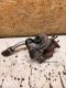 Turbolader Turbo 73501343<br>OPEL CORSA D 1.3 CDTI