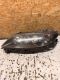 Frontscheinwerfer links <br>MAZDA 6 STATION WAGON (GY) 1.8