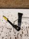 Gurtschloss vorne links 90535981<br>OPEL CORSA B (73_, 78_, 79_) 1.2I