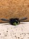 Lenkstockschalter Kombischalter 735444632<br>FIAT PANDA (169) 1.1