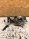 Lenks�ule 48810AX710<br>NISSAN MICRA III (K12) 1.2 16V