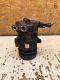 Klimakompressor 55701200 GQ2<br>OPEL CORSA D 1.2