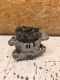 Lichtmaschine 0124425021 100A<br>OPEL MERIVA 1.4 16V TWINPORT