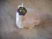 Behlter Khlwasser Ausgleichsbehlter 13256823 7524<br>OPEL ASTRA SPORTS TOURER (J) 1.7 CDTI